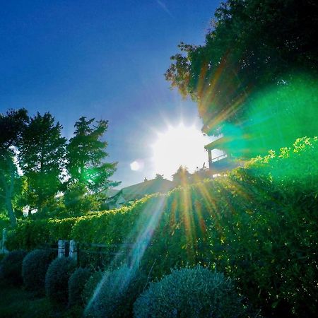 La Vida Loca Villa Seget Vranjica Dış mekan fotoğraf