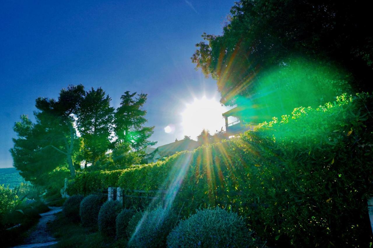 La Vida Loca Villa Seget Vranjica Dış mekan fotoğraf